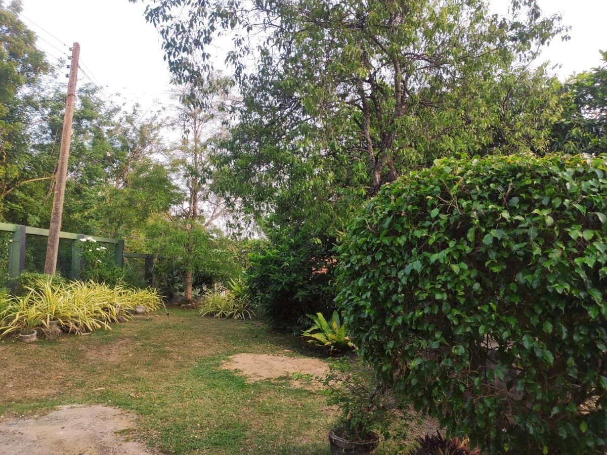 Bird House Homestays Tangalle Exterior photo