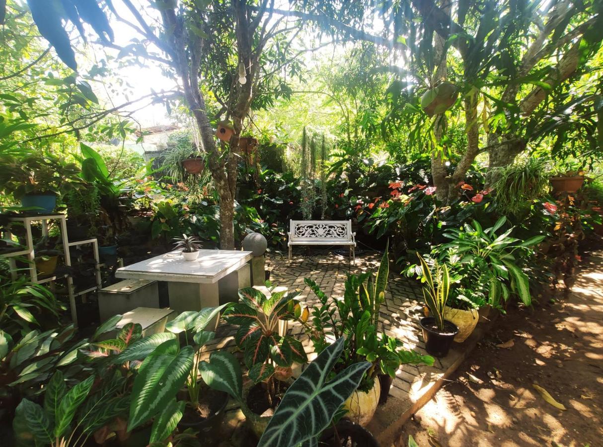 Bird House Homestays Tangalle Exterior photo
