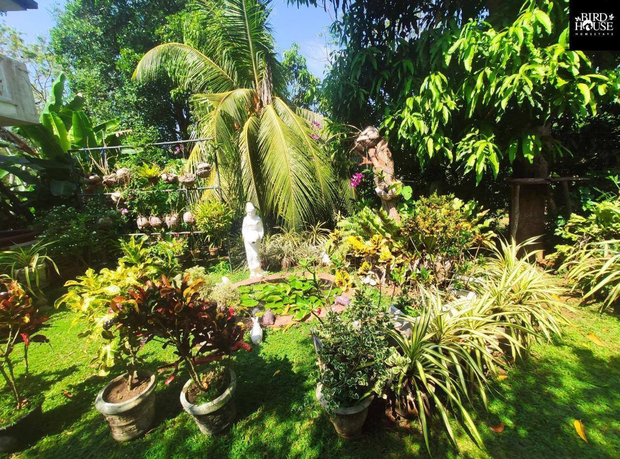 Bird House Homestays Tangalle Exterior photo