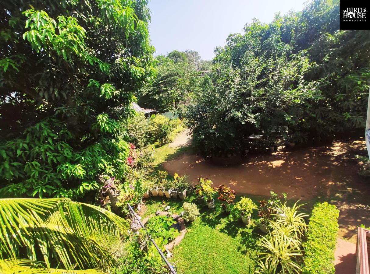 Bird House Homestays Tangalle Exterior photo